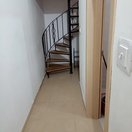 Duplex Spinola *